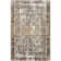 Aagna Distressed Medallion Power Loom Performance Brown/Gray/Ivory Rug