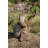 Motion Activated Singing Troglodyte Standing on Stump