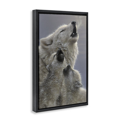 Singing Lessons White Wolves Floating Frame, design by Collin Bogle
