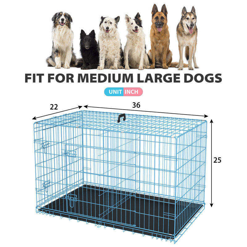 Cage pour chien Cage pour chien portative et pliable pour l'intérieur et l'extérieur Résistant aux intempéries Chenil pour chien en métal à double porte verrouillable avec cage et poignée de plateau amovible pour chien