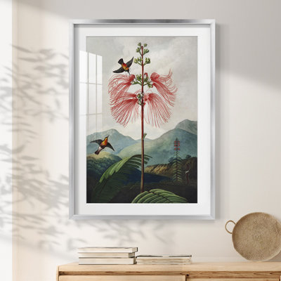 Vivaciously Changing II -Gallery Wrapped Canvas
