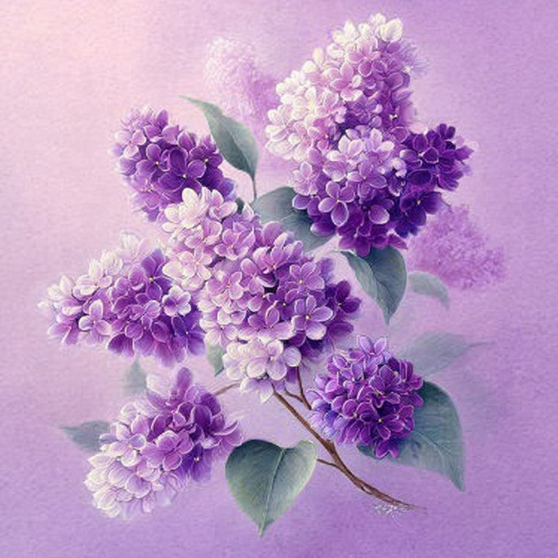 Whispers of Lilac - Art mural sur toile tendue, H 20 po x l 20 po