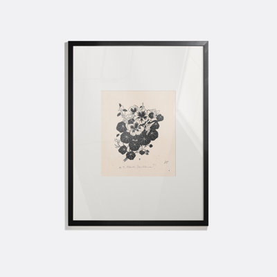 Drawing Of Nasturtiums Print by Henri Verstijnen