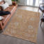 Premium Machine Washable Ducote AMF1137 Global Rug-1197897297