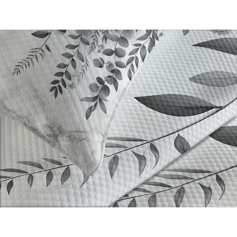 Ambesonne Black and White Bedspread Set Grey Eucalyptus Dimgray Coconut, King Bedspread + 2 Standard Shams