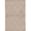 Floral Area Rug in Tan