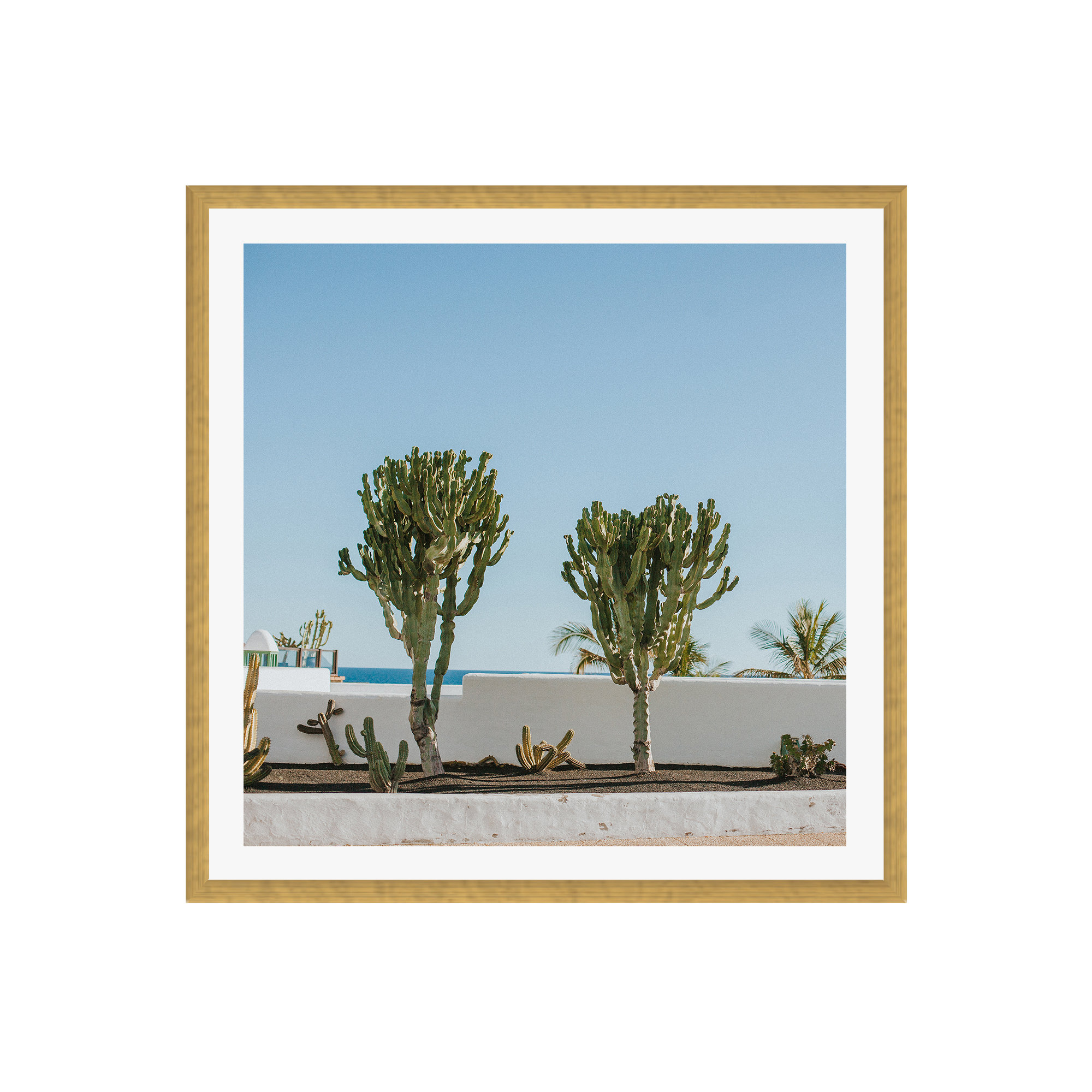 Hello Twiggs Three Cactus by Claudia Casal, No, Gold Floater Framed, 12" H x 12" W x 2" D