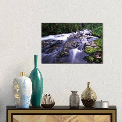 Paradise River, Mt Rainier National Park, Washington by Tim Fitzharris - Wrapped Canvas Gallery-Wrapped Canvas Giclée