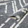 Hirotaka Performance Geometric Indoor Rug