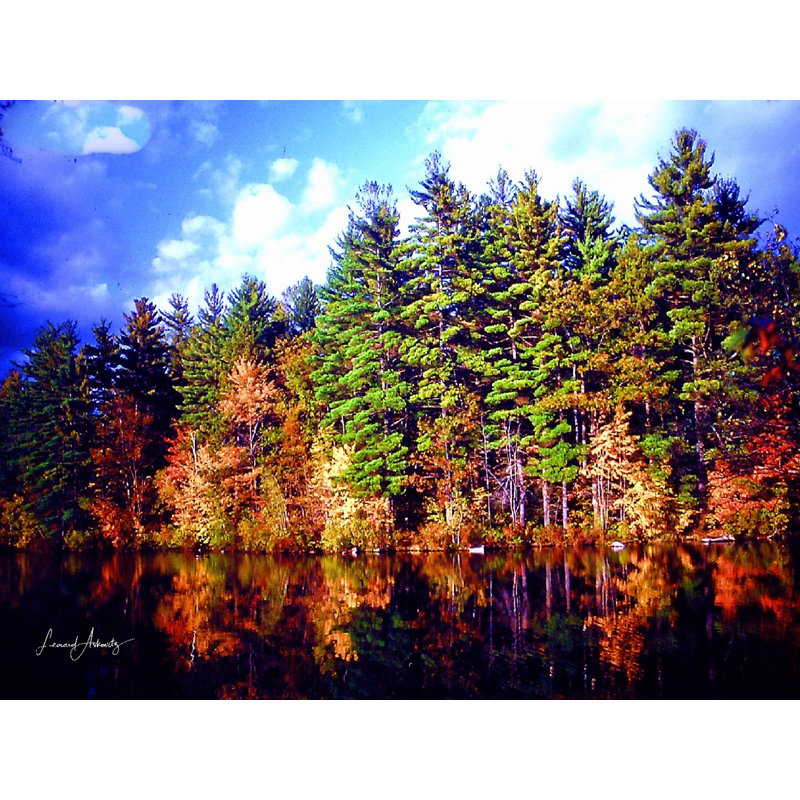 The Beauty Of Fall Print by Leonard Askowitz