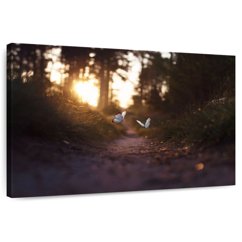 Brampt Butterfly Trail, 16" H x 24" W