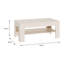 Chadwic Minimalistic coffee table with storage compartment, engineered wood, 110 cm W x 45.5 cm H x 60 cm D