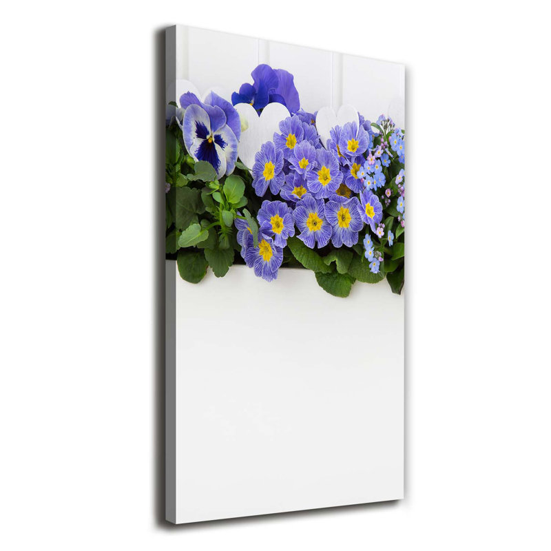 Maki - Wrapped Canvas Print