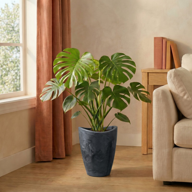 Vinisha ECOBO EcoFriendly Round Pot Planter, Onda IndoorOutdoor use, Four Season Use, 12.6" H x 9.8" W x 9.8" D, Dark Gray