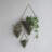 Trigg Hanging Planter Vase Wall Decor, Pot And Container For Succulents, Cactus, Faux Plants, And More, Large, Black/Brass-670369411-670398844-670369410