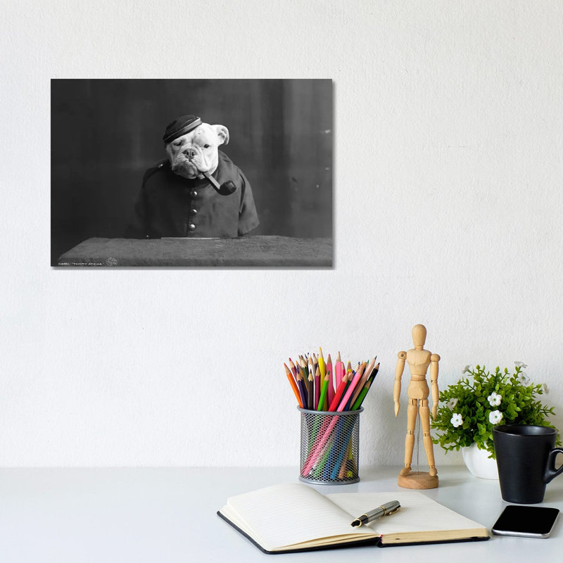 Bulldog, C1905 - Wrapped Canvas Print, 20.32 cm H x 30.48 cm W