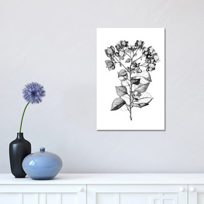 Botanical Black And White I 1 Piece Wrapped Canvas Wall Art
