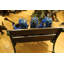 Statue de grenouilles musicales sur un banc Florentina