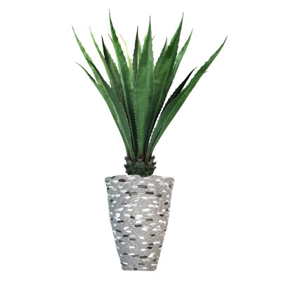 64'' Faux Agave Tree in Fiberstone Planter