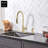 MAXWELL Pull Down Kitchen Faucet with Side Spray and with Soap Dispenser-60287950