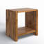 Fraizer Modern End Table