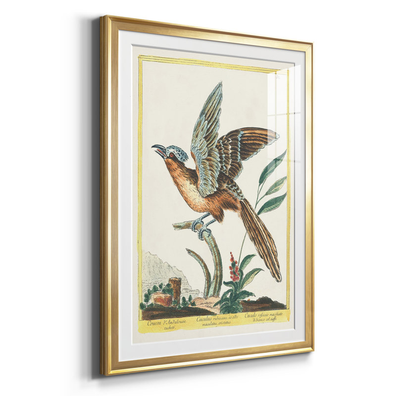 «Pastel Birds IV», reproduction encadrée de qualité supérieure - prête à être accrochée, H 24,5 po x l 55,5 po x P 1 po