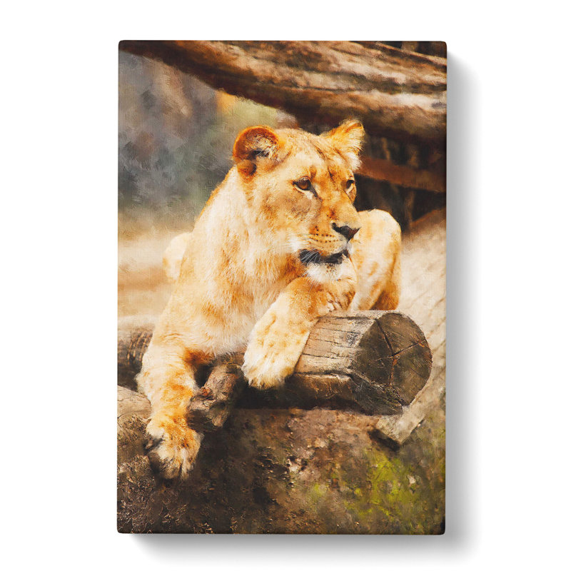 Lioness - Wrapped Canvas, 50cm H x 35cm W x 3cm D