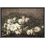 Élégante fleur de coton blanc sérénité avec illustrations florales campagne française rustique-101751878-101751876