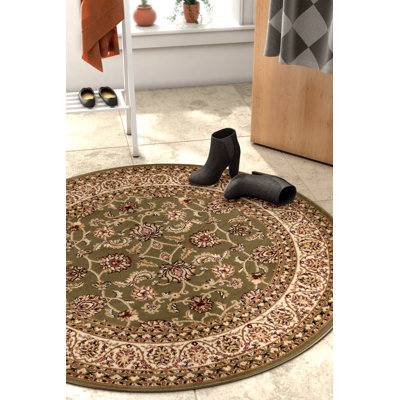 Treanor Oriental Indoor Rug