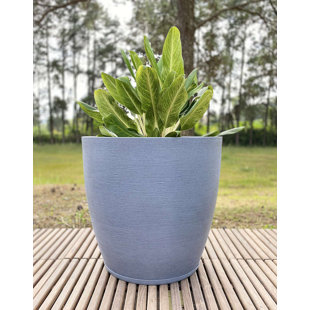 Amsterdan Pot Planter