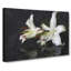 White Lily Flowers - Wrapped Canvas-61876645