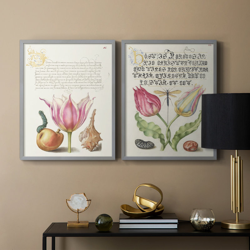 Reproduction encadrée Hoefnagel Tropical Specples IV-Premium - prête à être accrochée - aucun clou requis - aucun clou requis
