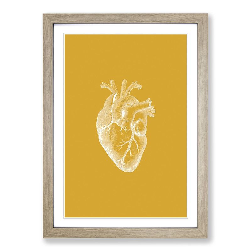 Orange Anatomical Heart - Picture Frame Graphic Art, Oak Framed, 48cm H x 36cm W x 2cm D