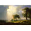 Californie, printemps, 1875-107306309