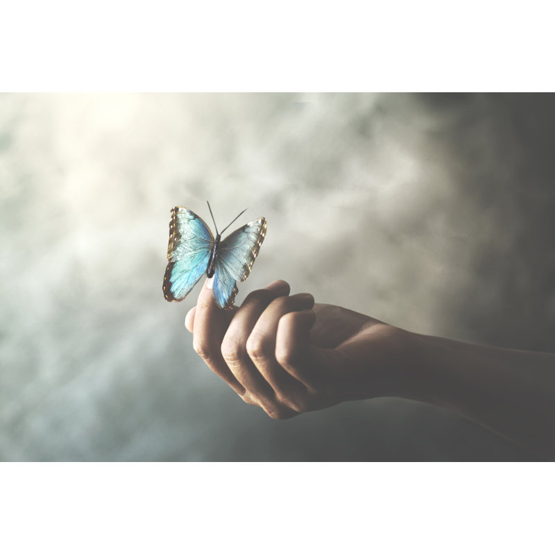 Thruxton Butterfly - Wrapped Canvas Print, 20cm H x 30cm W x 3.8cm D