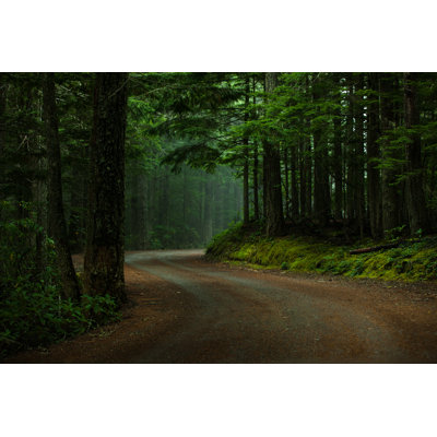 Forêt sombre par Andipantz