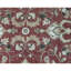 Wool Oriental Area Rug in Rust/Ivory