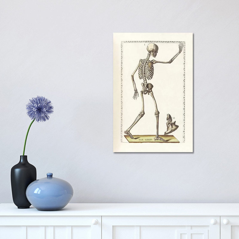 «The Science of Human Anatomy VI» par National Library of Medecine, impression sur toile tendue, H 18 po x l 12 po x P 1,5 po