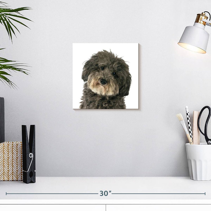 Brampt Molly The Dog, 10" H x 10" W