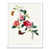 White Framed Paper