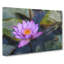 Purple Water Lily Flower - Wrapped Canvas-64021209