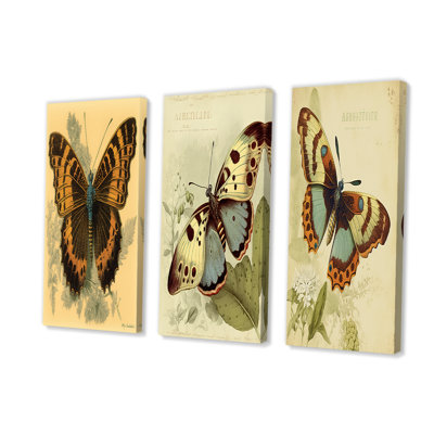 Illustration rétro de papillon II, 3 pièces