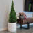 Allenville Fiberstone Plant Pot-394697156-394635595