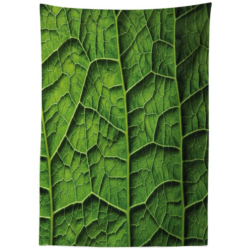 Tablecloth, 70" L x 52" W