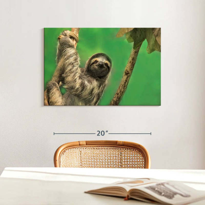 Clinging Sloth, 16" H x 24" W