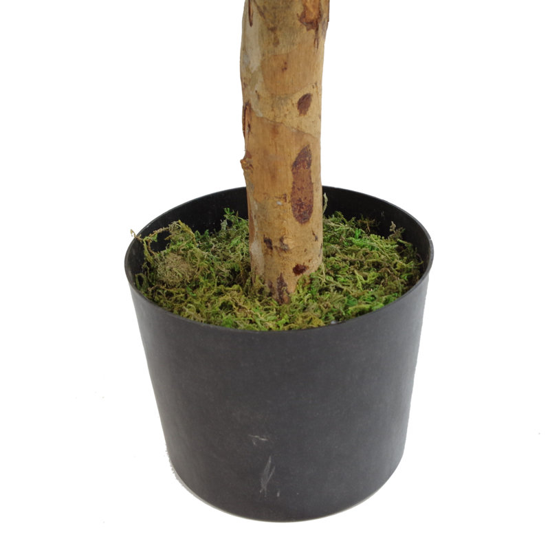 Anivea 100cm Faux Dracaena Tree in Pot