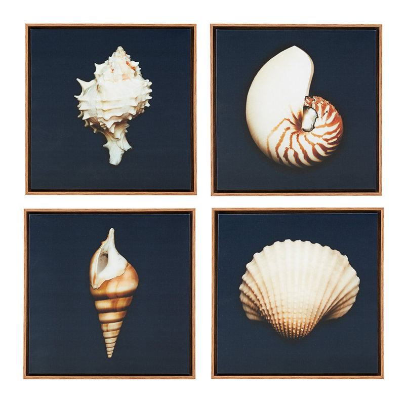 4 4 toiles encadrées, 12 po x 12 po, fond bleu marine, œuvre d'art, présentoir intérieur coquillages de l'océan 12 po x 12 po, décor, par, œuvre d'art
