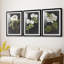 «Dramatic White Flowers I», reproduction sur mesure encadrée de qualité supérieure, mat, 3 pièces-535746711