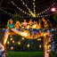 Aliaha 1100cm 20 - Bulb Festoon Lights String Light (End to End Connectable)