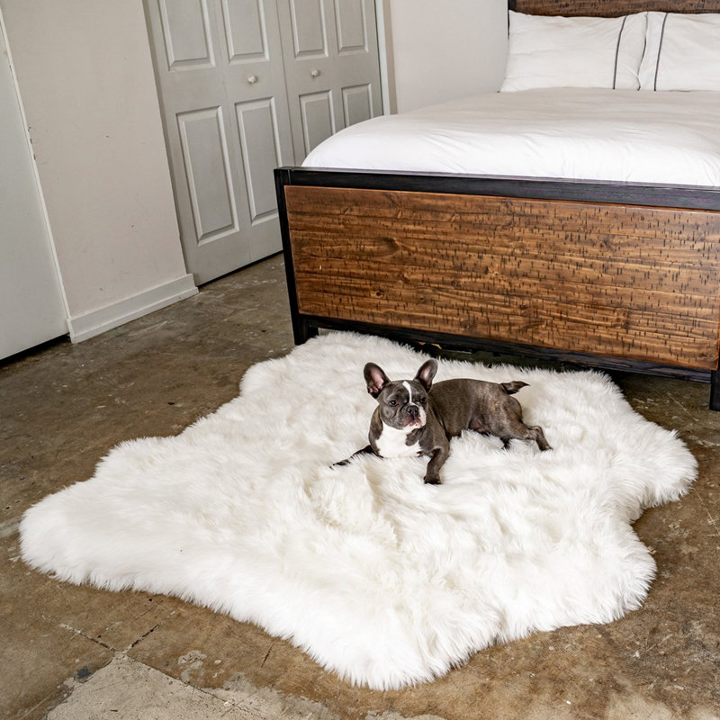 Tapis classique Puprug, H 2 po x l 35 po x P 40 po, Ours polaire